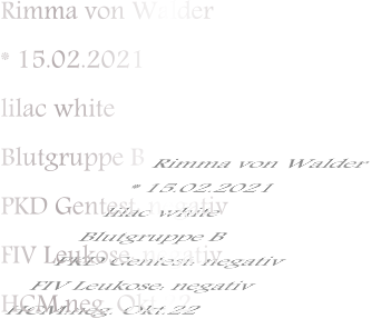 Rimma von Walder * 15.02.2021 lilac white Blutgruppe B PKD Gentest: negativ FIV Leukose: negativ HCM:neg. Okt.22